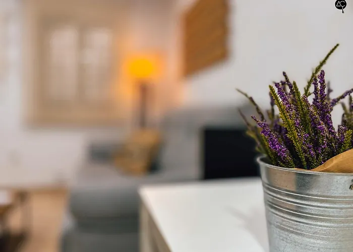 La Caleta Prime Grupo Ac Gestion アパート カディス